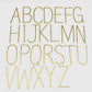 Large Initial Necklace- Gold